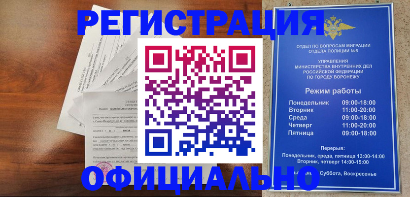 прописка поиск в Зее